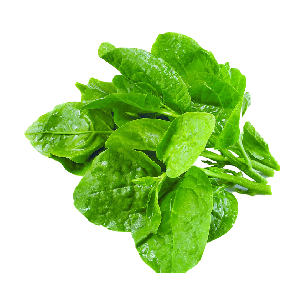 Ceylon Spinach (Mong Toi) 200G
