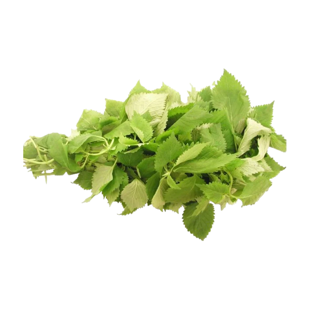 Cockscomb Mint (Kinh Gioi) 100G