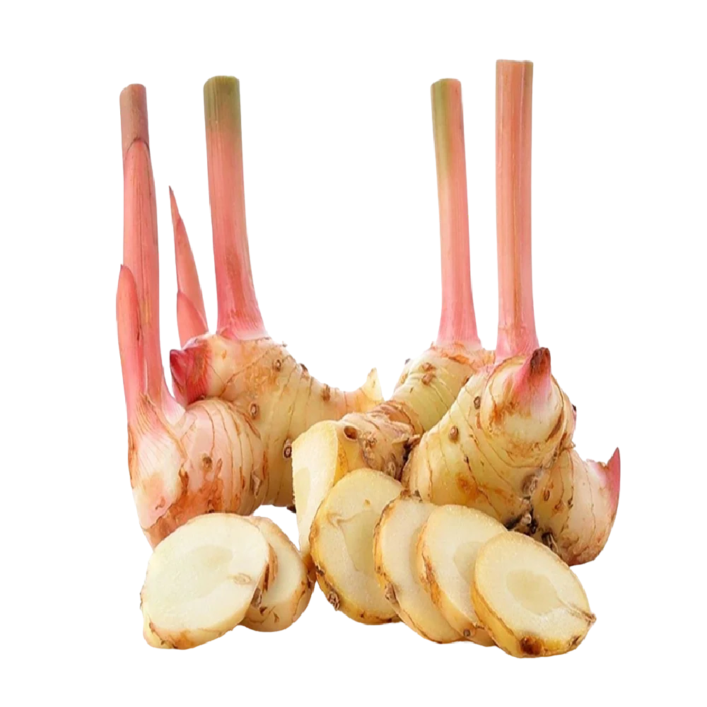 Galangal (Cu Rieng) 100g (Chilled)