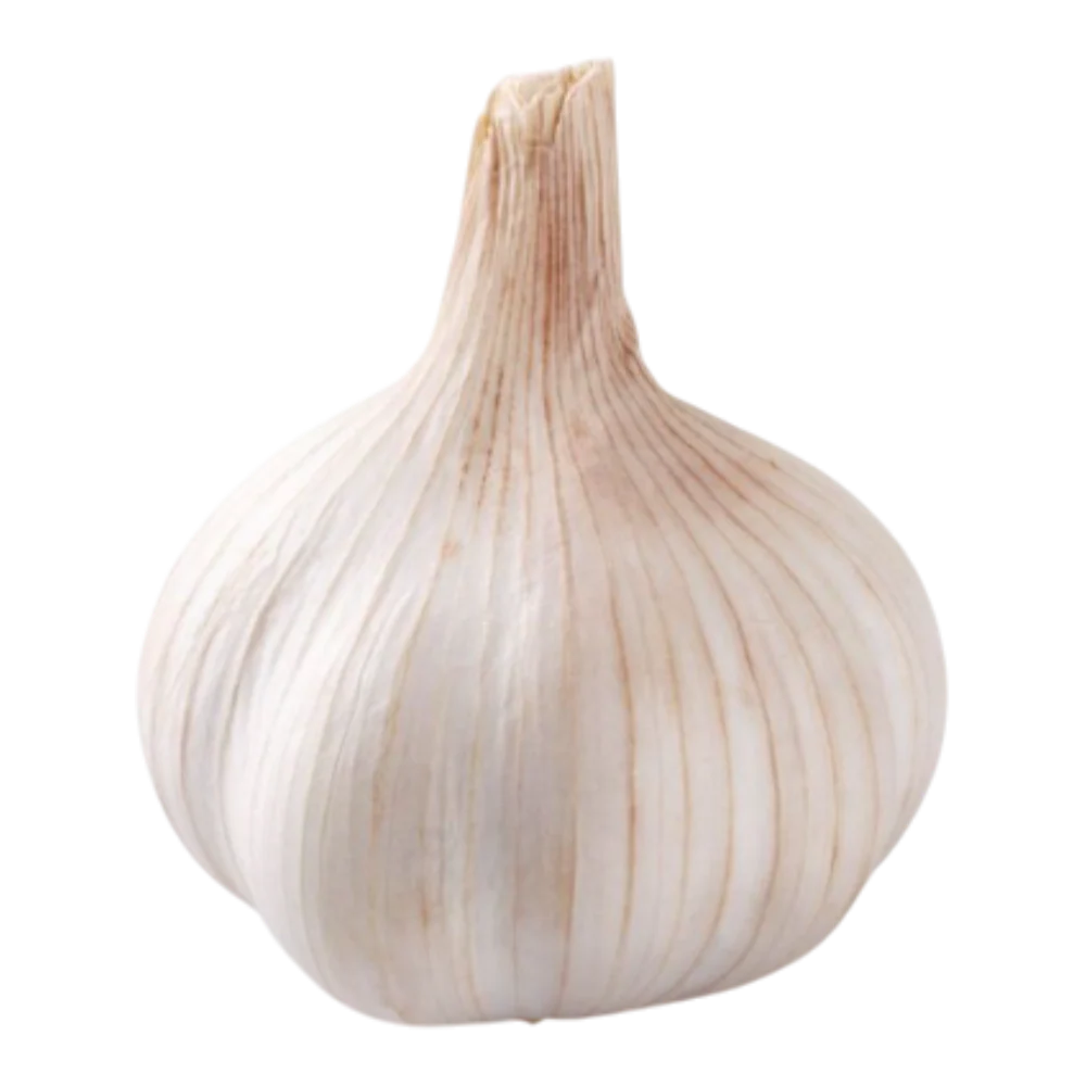 Garlic 1 Piece