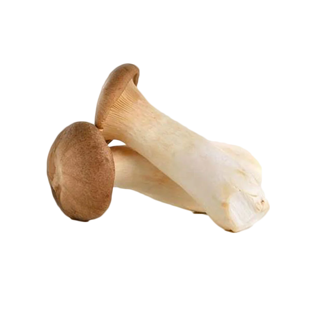 King Oyster Mushroom 200G - Image 2