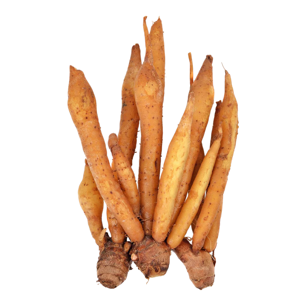 Lesser Ginger 100G