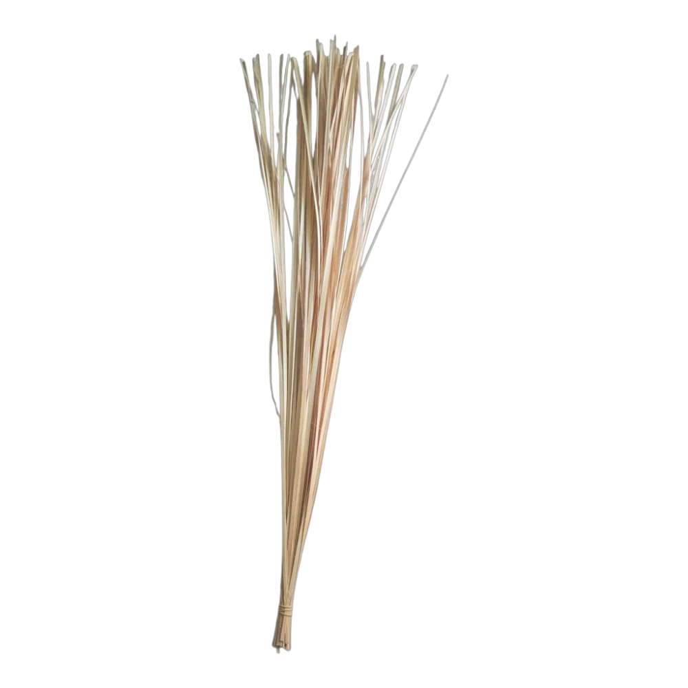 Longdan Bamboo string ( Day lat goi banh )