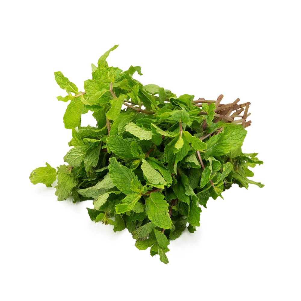 Mint 100G
