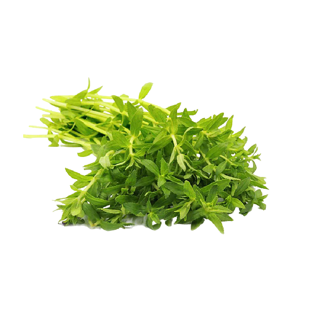 Rice Paddy Herb (Ngo Om) 100G
