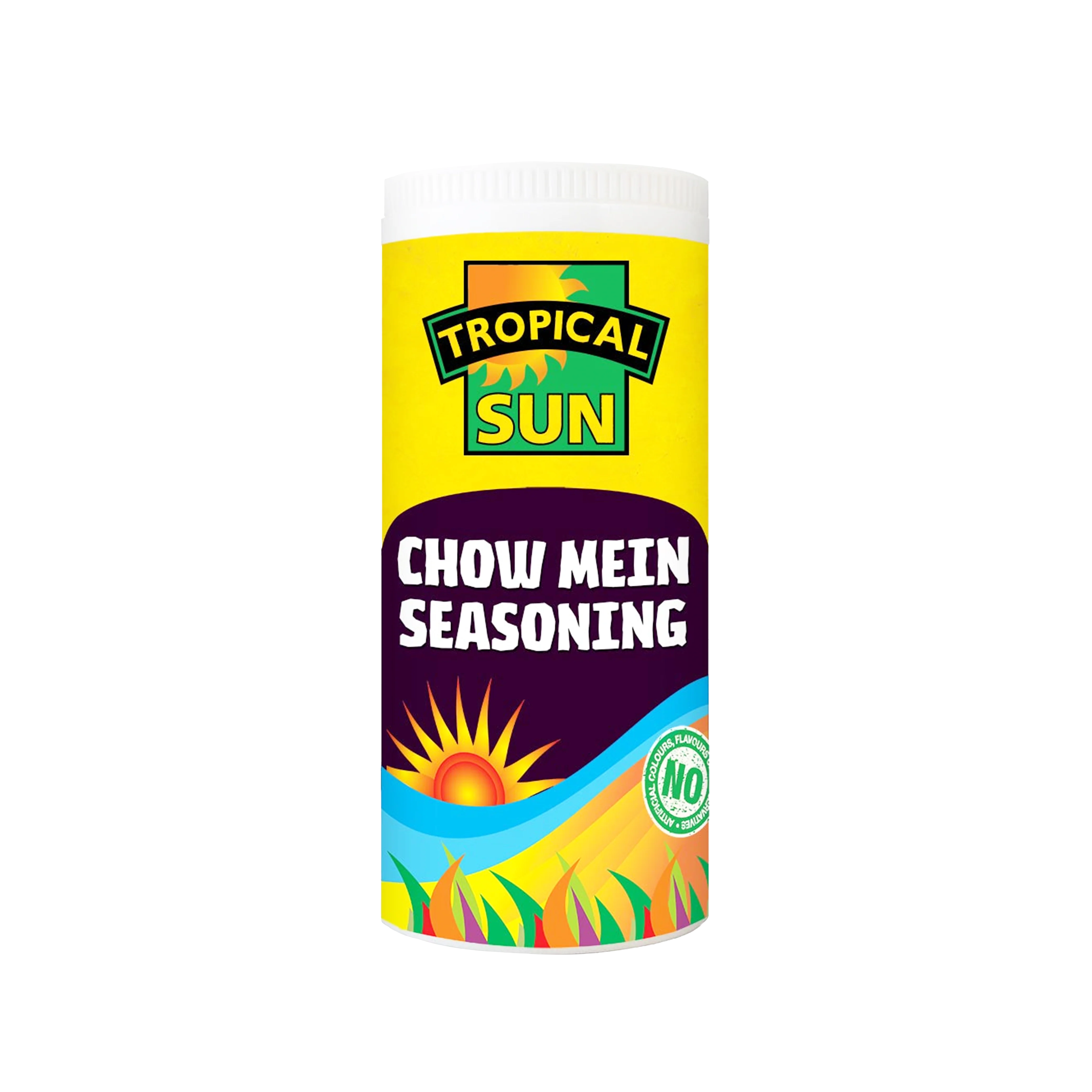 TROPICAL SUN CHOW MEIN SEASONING 100g